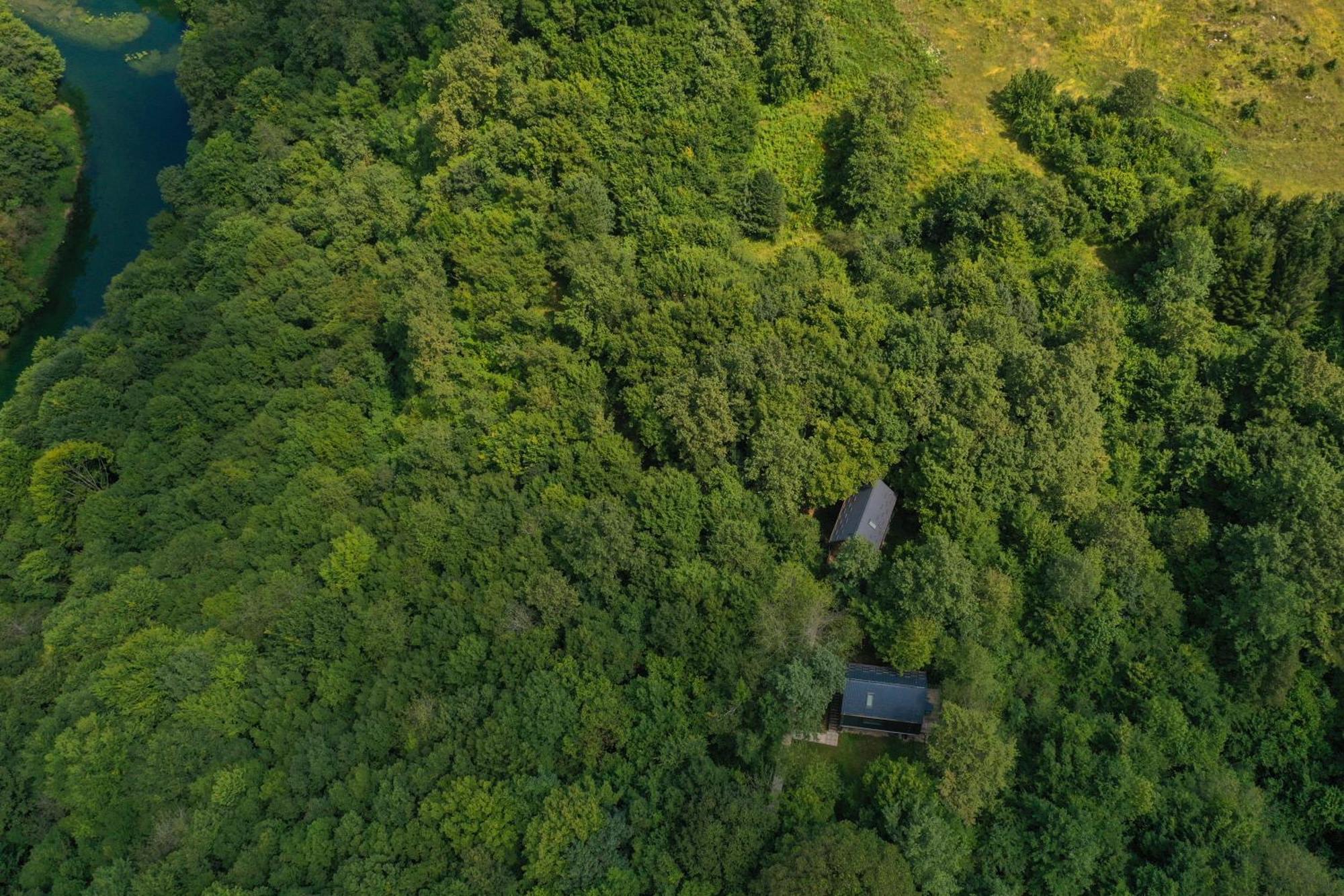 Tree Elements Treehouse Retreat Apartman Szluin Kültér fotó