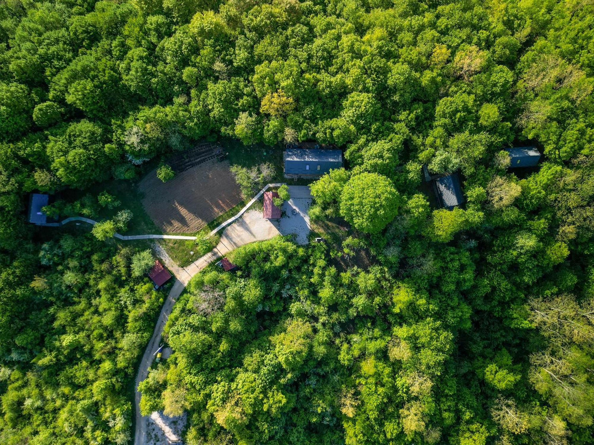 Tree Elements Treehouse Retreat Apartman Szluin Kültér fotó